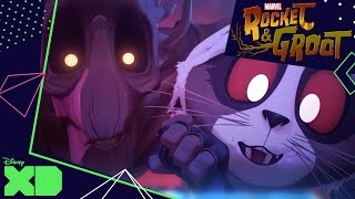 Rocket and Groot | A Piece of Cake 🍰 | Disney XD