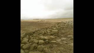 Retro Easter Walk Snap Cam, Looking For Browns...