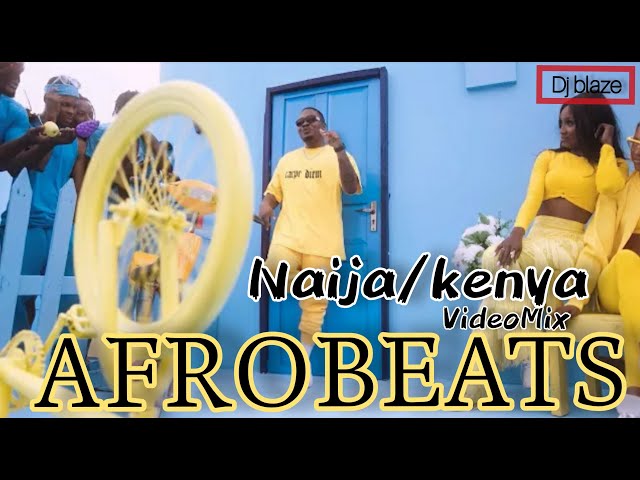 NAIJA/KENYA VIDEO MIX 2020 LATEST AFROBEAT DJ BLAZE FT TEDDY ZIGGY/FIREBOY/SHEEBAH/DAVIDO/TWO TIGER class=