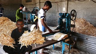 Making Process Millions of Popsicle Sticks inside the factory