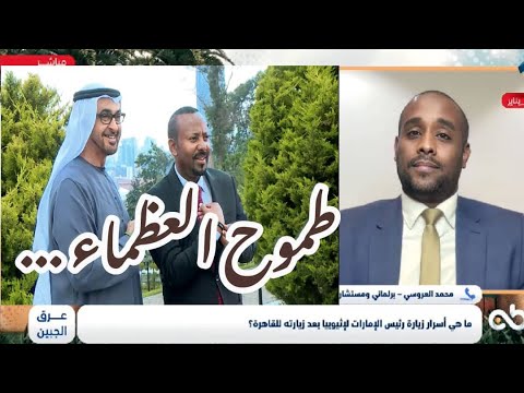 أسرار زيارة رئيس دولة الإمارات الشيخ محمد بن زايد إلى أديس أبابا