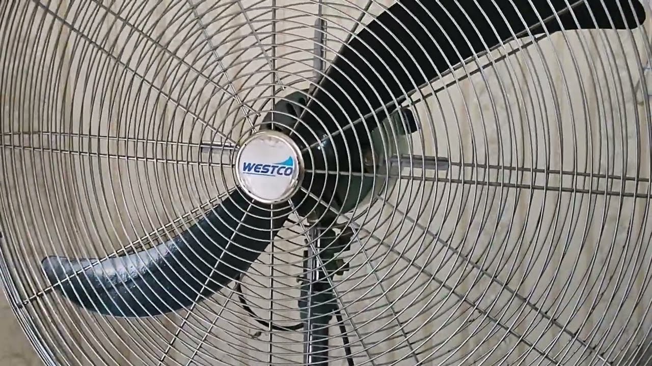WESTCO Industrial Stand Fan 