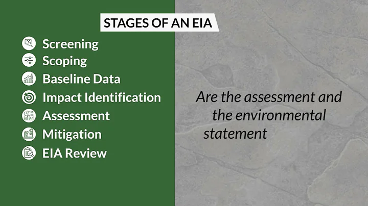 The EIA Process - English