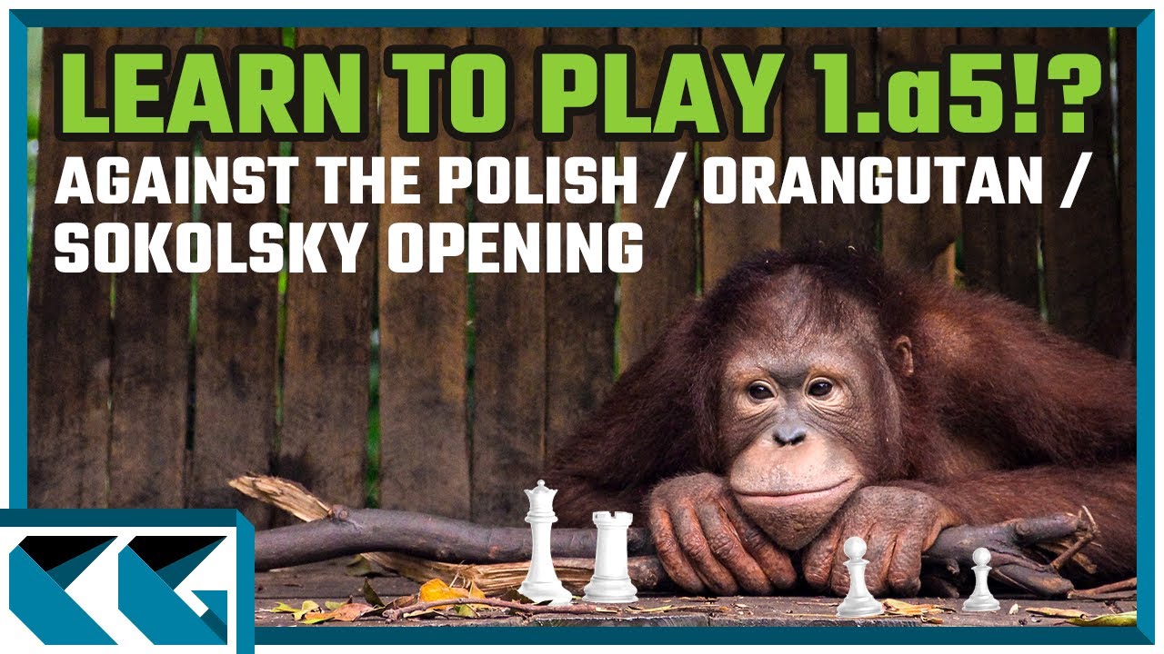 How To Play Polish Opening, Learn Chess Openings