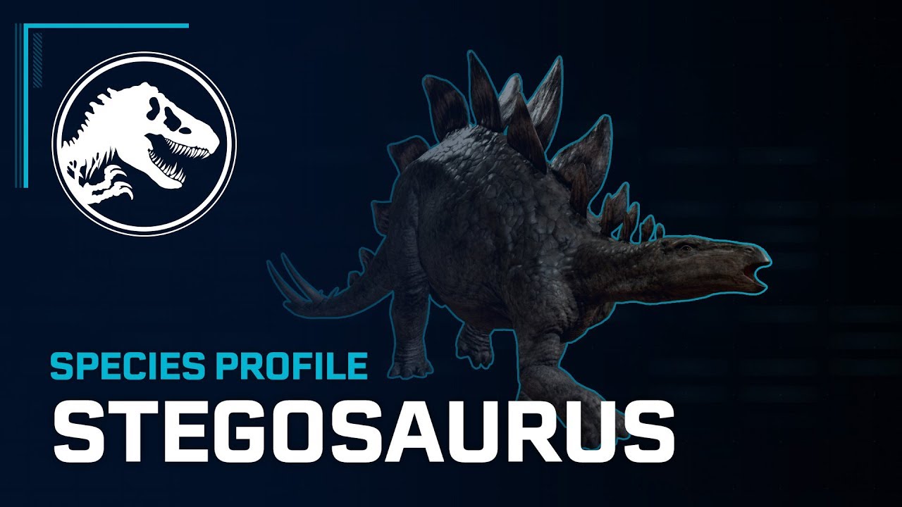 stegosaurus evolution