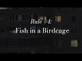 Rule 4 fish in a birdcage  fish in a birdcage lyrics