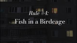 Rule #4 Fish in a Birdcage - Fish in a Birdcage (Lyrics video)