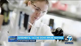 First COVID-19 vaccine tested in US revved up people's immune systems, testing shows | ABC7