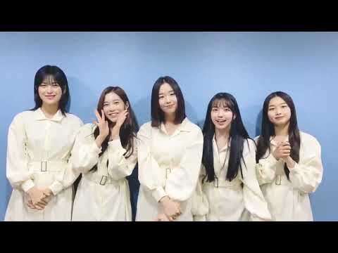 버스터즈 새해인사