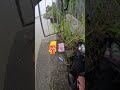 静寂の中の釣り旅🎣雨の日の穏やかな水辺で心を癒すひととき