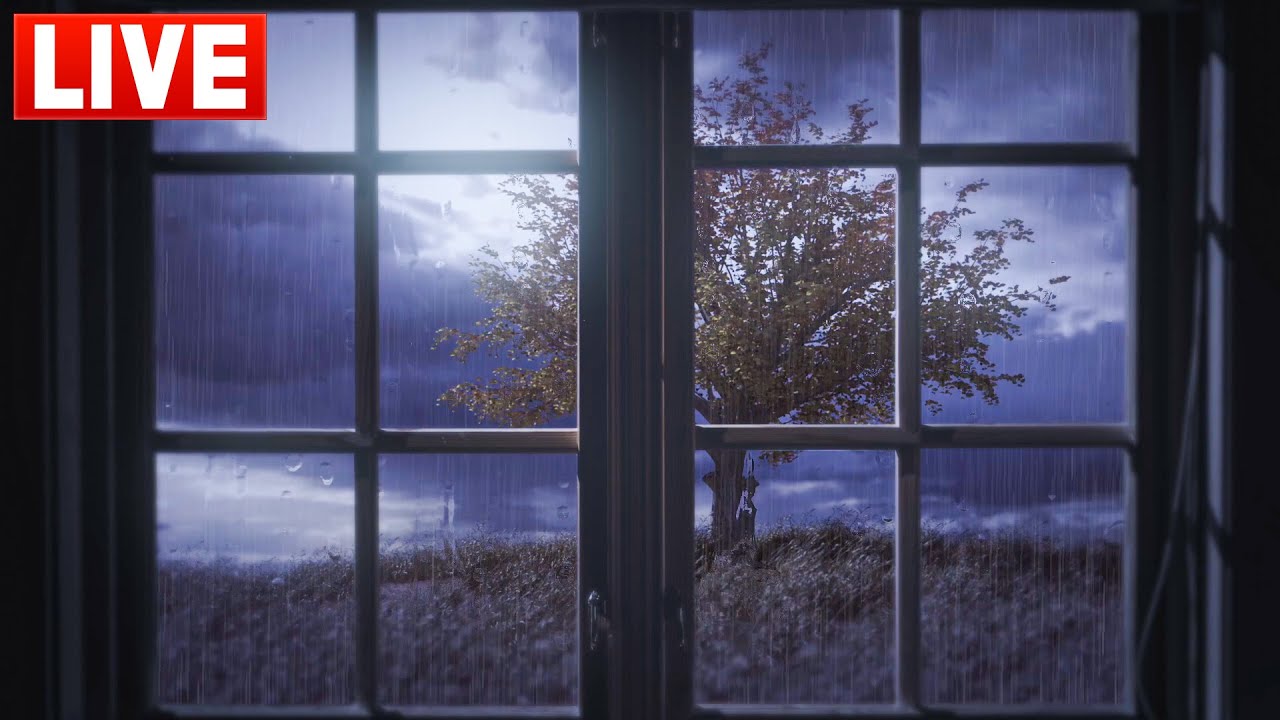 Realistic Rainy Window Ambience for Falling Asleep | Cozy Fantasy Window Study Focus & Relaxation