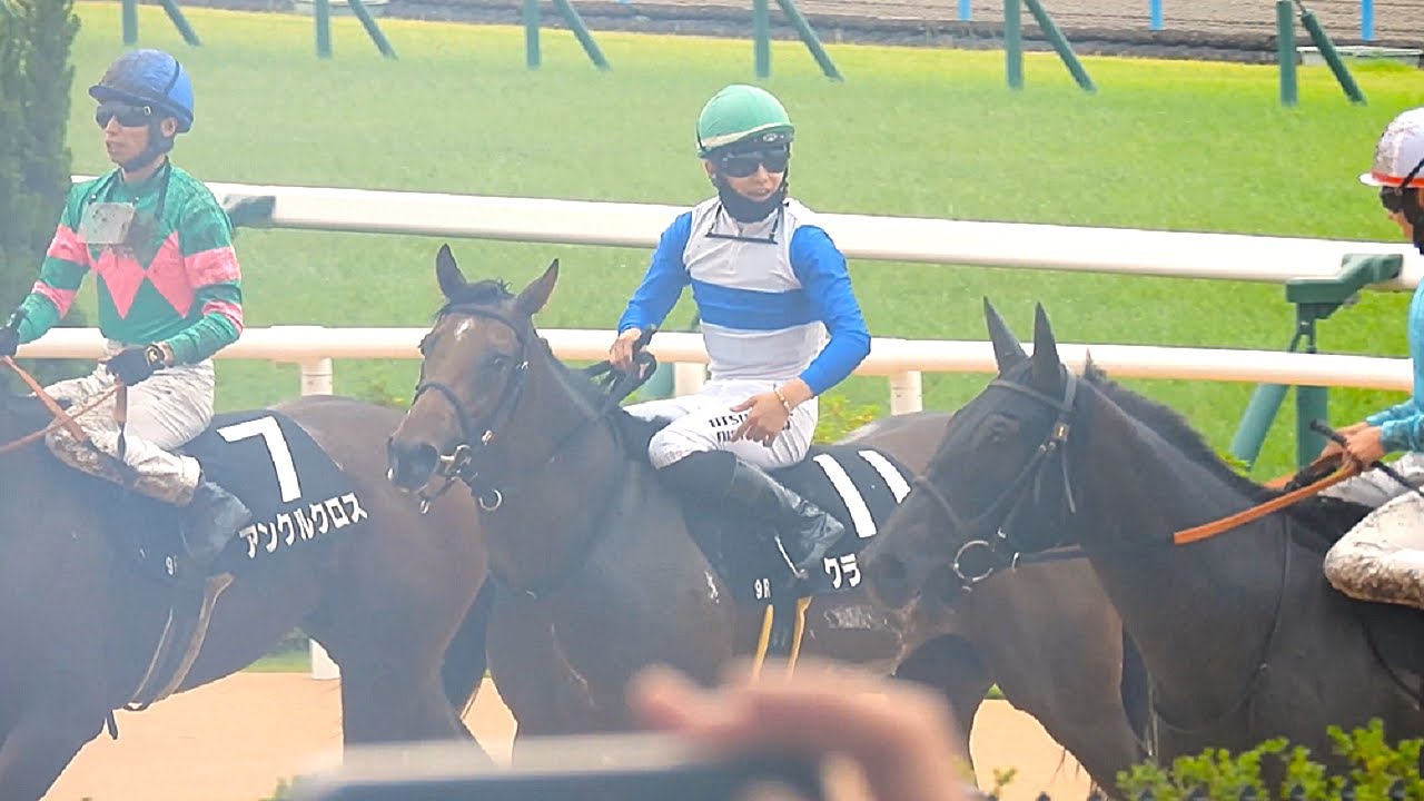 【ブリックスアンドモルタル産駒😲クランフォード＆西村淳也騎手 直線後続を突き放してうれしい3勝目😊❗❗】 京都9R 瀬田特別 3歳以上1勝クラス 2024.6.23