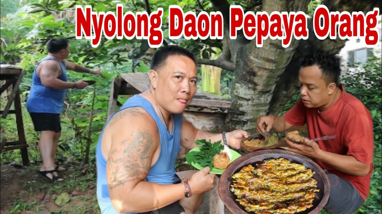 PAGI PAGI NYOLONG DAON PEPAYA BUAT DI LALAP