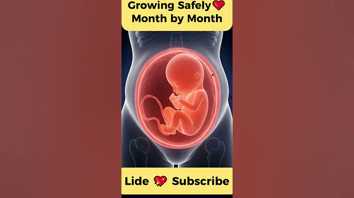 Miracle of Pregnancy ❤️ | Watch How a Baby Grows Inside Mother #Shorts  #miracleinmotion #pregnant