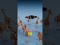 It can pull the length of a baby s intestines to some extent#Popular science#Gain