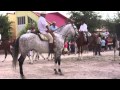 Feria del Caballo 2011-Añover de Tajo