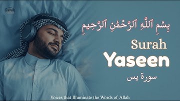 Surah Yaseen (Yasin) ~ سورة يس | Voices that Illuminate the Words of Allah | #SurahSound