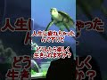 人生超楽しんでそうな男性「人生に疲れちゃいました」【タートルトーク】東京ディズニーシー#Shorts
