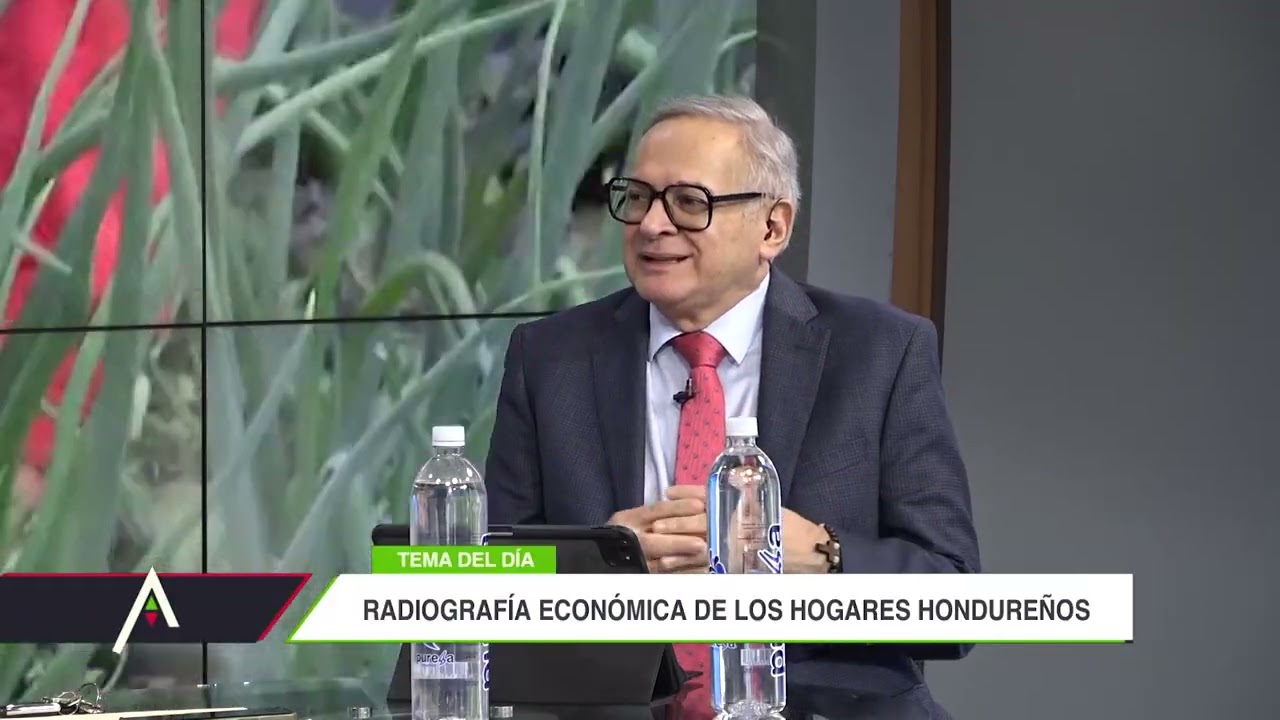 Radiografía Económica de los Hogares Hondureños - Martes, 03 de febrero 2026