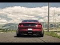 Loud 2015 Ford Mustang GT 5.0 exhaust sounds compilation Revs and accelerations