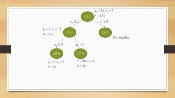 Linear Programming Integer/Branch and Bound - Ayu Regita Cahyani Soleman