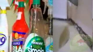 How to Detect Mold in Your Home in Orlando FL
