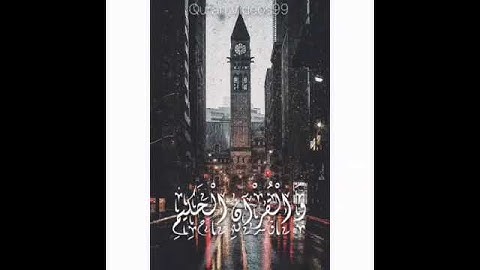 حالات واتس اب - سورة يس فيديو راحة بال 🖤
