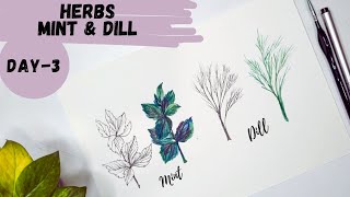 Day 3. Herbs - Mint | Dill watercolor painting and drawing. Herbs drawing & painting tutorial.