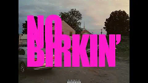 No Birkin' (feat. $hyfromdatre)
