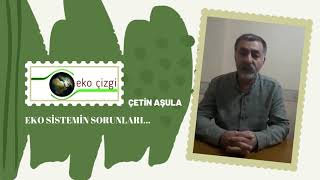 Ekosistemin Sorunları. Çeti̇n Aşula