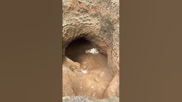 Tìm đá quý #daquylucyen #ruby #mobat #ruby #sapphire