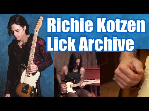 Richie Kotzenリッチーコッツェンピック使用2002年日本公演 Richie Kotzenリッチーコッツェンピック使用2002年日本公演