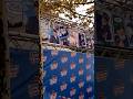 NEWS! CAPITAN FINDUS a Fumetti per LUCCA COMICS 2025 #news #luccacomics #capitanfindus