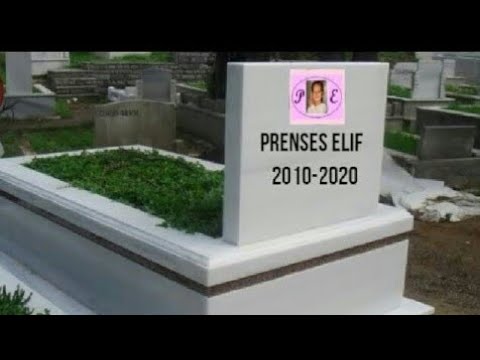 Prenses Elif Öldü! (mizah amaçlıdır)