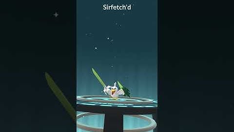 FARFETCH