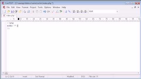 Beginner PHP Tutorial - 9 - echo