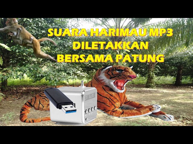 Halau Monyet, Kera - Patung Harimau Ada Suara class=