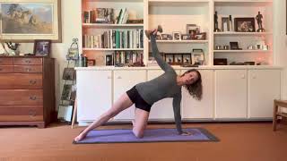 1/2 Side Plank with Rear Delt Dumbbell Fly