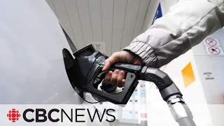 Rebates rise as carbon price increases to $80 per tonne