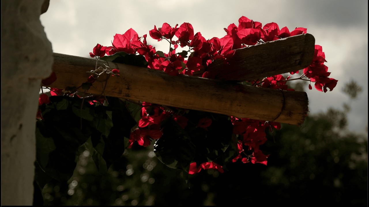 Building a stone bench with the puppy