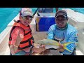 Barracuda fishing