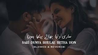 Sari Dunya Slowed & Reverb | Kitni Chahat | Urdu Slowed Reverb Songs | Sajjad Solangi screenshot 3