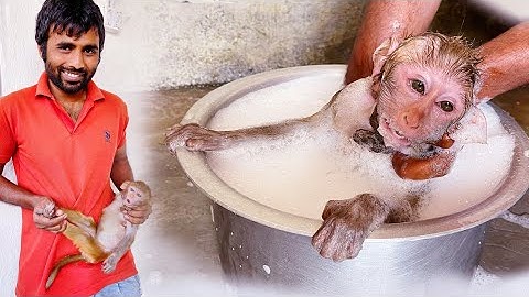 Monkey Nahane Se Dar Raha Hai 😂