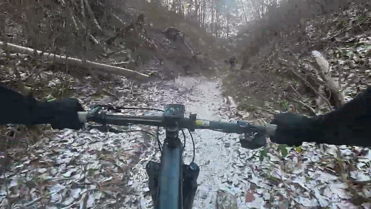 DJI 20251230124421 0042 D