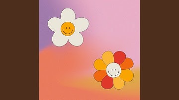 Sensational Ambiance for Low Shadows