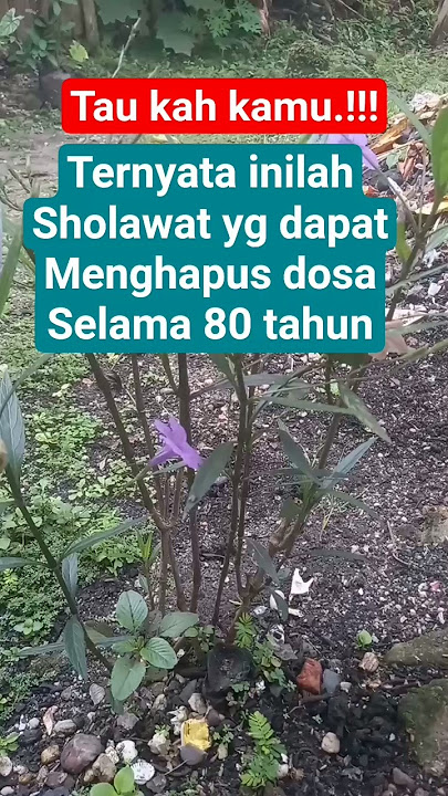 Download lagu prayer that can erase sins for 80 years #motivation #sholawat