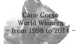 Cane Corso World Winners 19982014