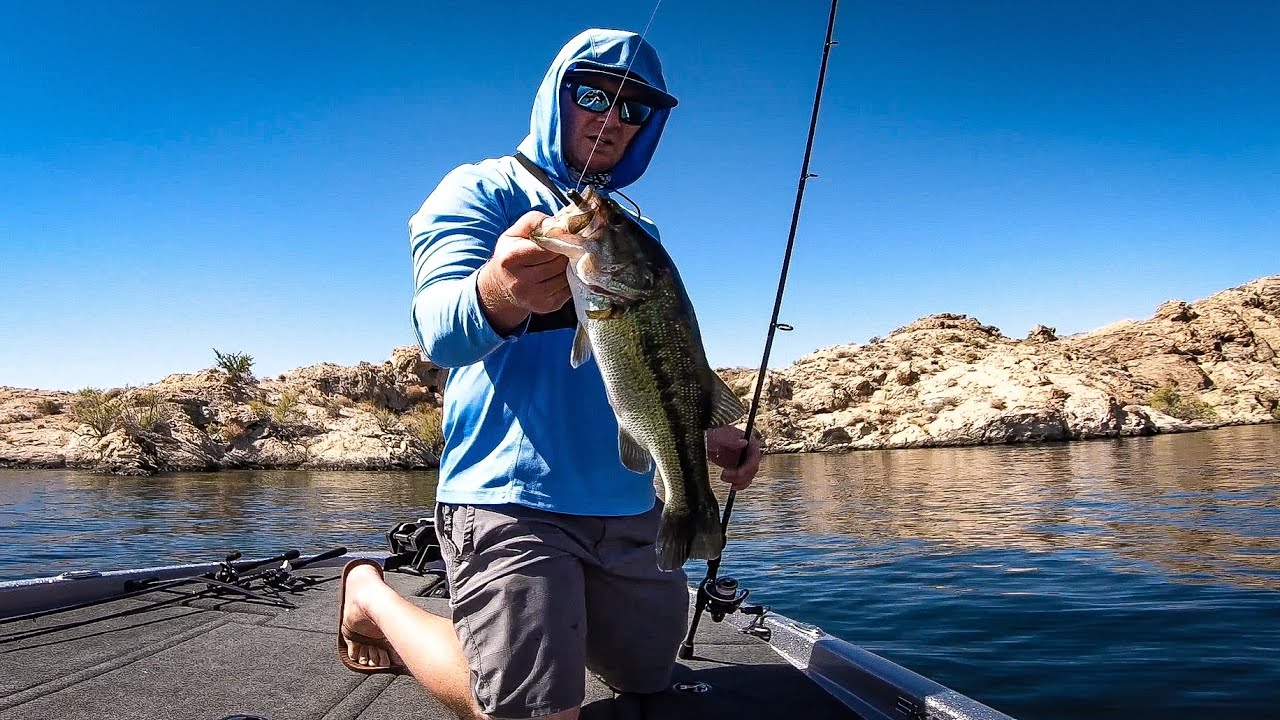 How to Catch Bass in ULTRA CLEAR Water (How to fish the ned rig)