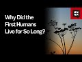 Why Did the First Humans Live for So Long?