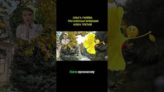 ✨Активное долголетие?!🤔А почему бы и ДА!❤️Сила лечебного голодания 💫